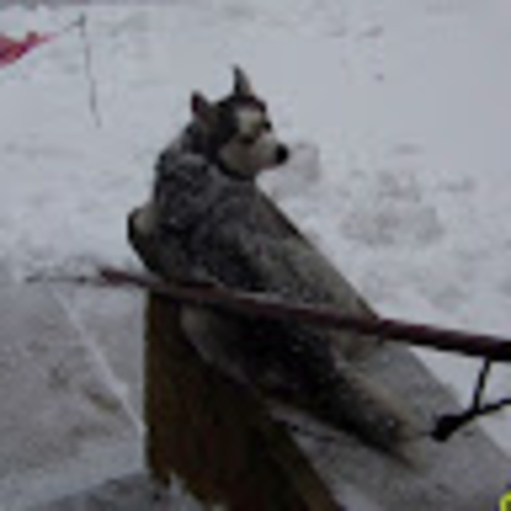 Meet your Posher, Kathleen